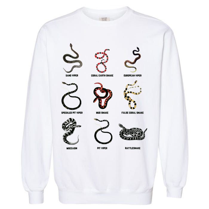 9 Snakes Snake Lover Men Snake Snake Garment-Dyed Sweatshirt
