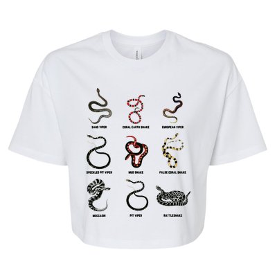 9 Snakes Snake Lover Men Snake Snake Bella+Canvas Jersey Crop Tee