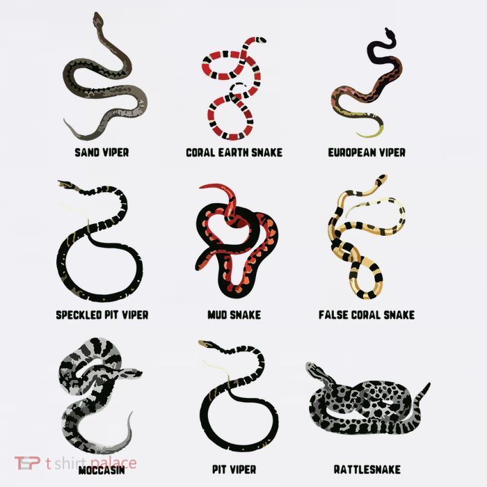 9 Snakes Snake Lover Men Snake Snake Tall T-Shirt