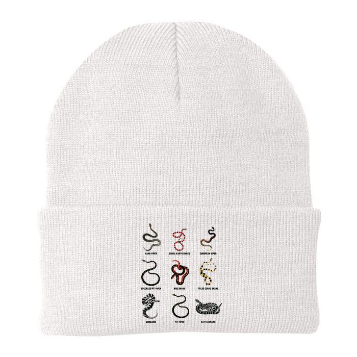 9 Snakes Snake Lover Men Snake Snake Beanie