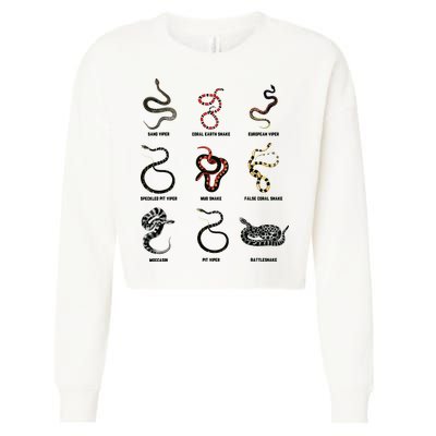9 Snakes Snake Lover Men Snake Snake Cropped Pullover Crew