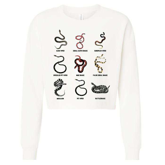 9 Snakes Snake Lover Men Snake Snake Cropped Pullover Crew