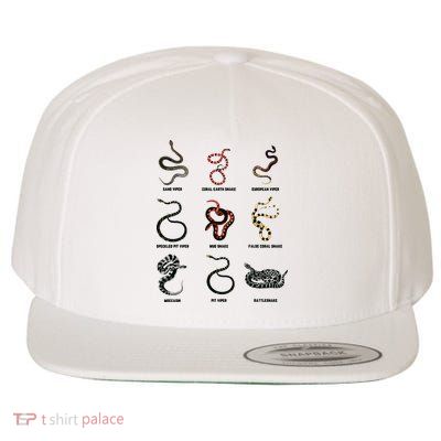 9 Snakes Snake Lover Men Snake Snake Wool Snapback Cap
