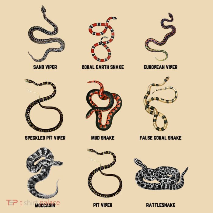9 Snakes Snake Lover Snake Snake Zip Tote Bag