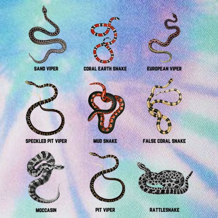 9 Snakes Snake Lover Snake Snake Legacy Tie Dye Trucker Hat
