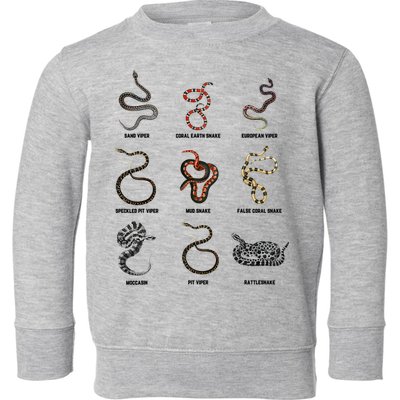 9 Snakes Snake Lover Snake Snake Toddler Sweatshirt