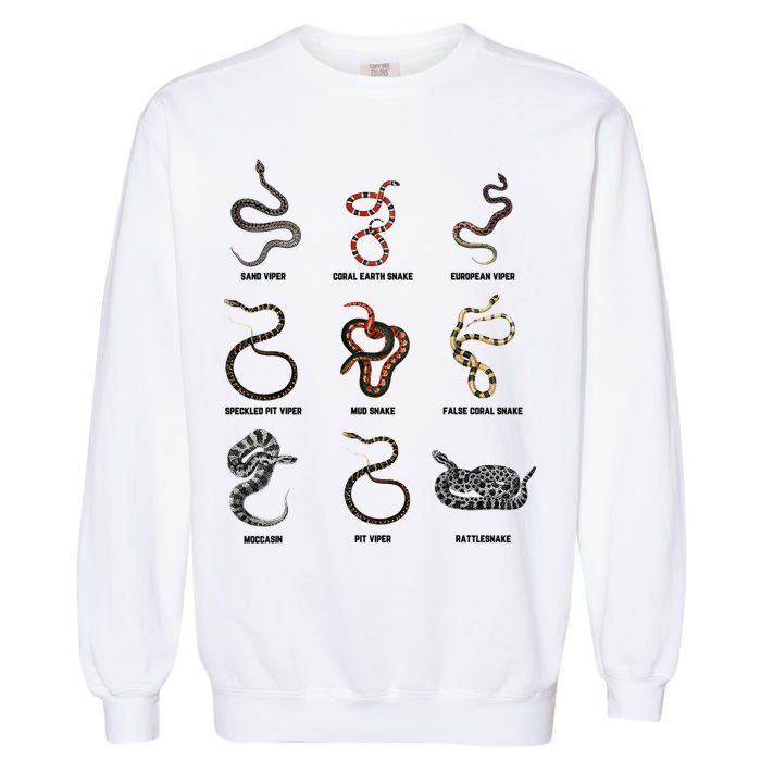 9 Snakes Snake Lover Snake Snake Garment-Dyed Sweatshirt