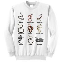 9 Snakes Snake Lover Snake Snake Sweatshirt