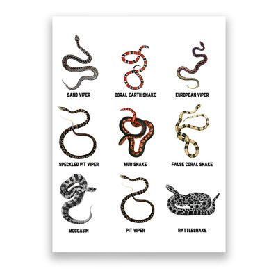 9 Snakes Snake Lover Snake Snake Poster