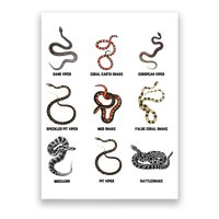 9 Snakes Snake Lover Snake Snake Poster