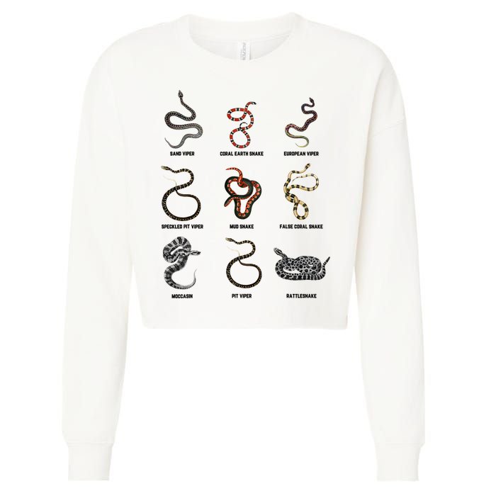 9 Snakes Snake Lover Snake Snake Cropped Pullover Crew