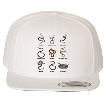 9 Snakes Snake Lover Snake Snake Wool Snapback Cap