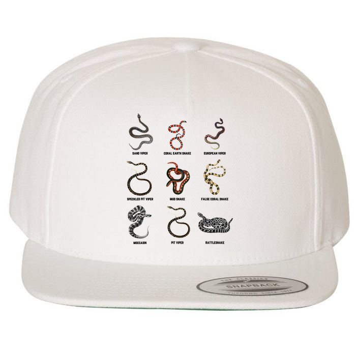 9 Snakes Snake Lover Snake Snake Wool Snapback Cap