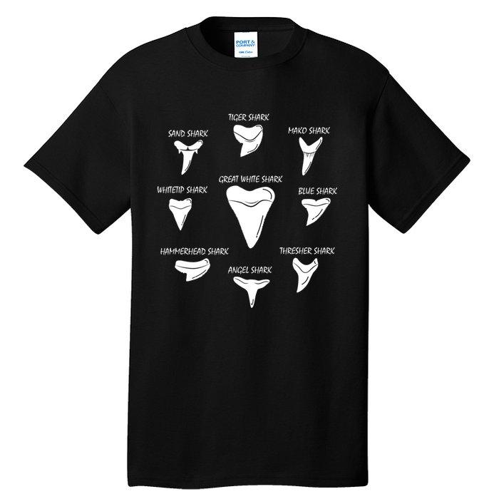 9 Types Of Sharks Teeth Species Biology Life Tooth Collector Tall T-Shirt