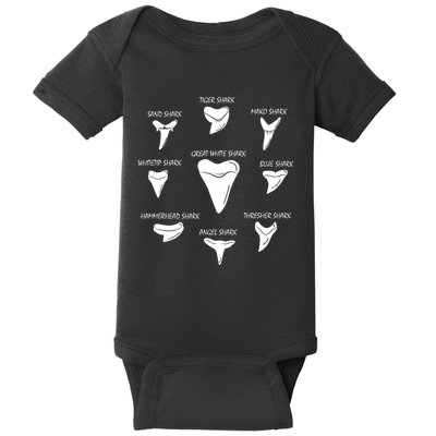 9 Types Of Sharks Teeth Species Biology Life Tooth Collector Baby Bodysuit