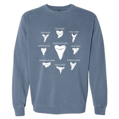 9 Types Of Sharks Teeth Species Biology Life Tooth Collector Garment-Dyed Sweatshirt