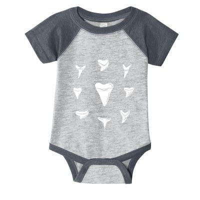 9 Types Of Sharks Teeth Species Biology Life Tooth Collector Infant Baby Jersey Bodysuit