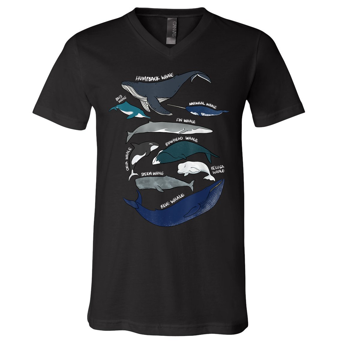 9 Types Of Whales Shirt Whale Breeds Species Whale V-Neck T-Shirt