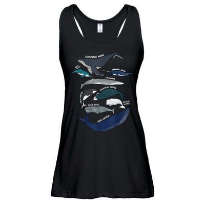 9 Types Of Whales Shirt Whale Breeds Species Whale Ladies Essential Flowy Tank