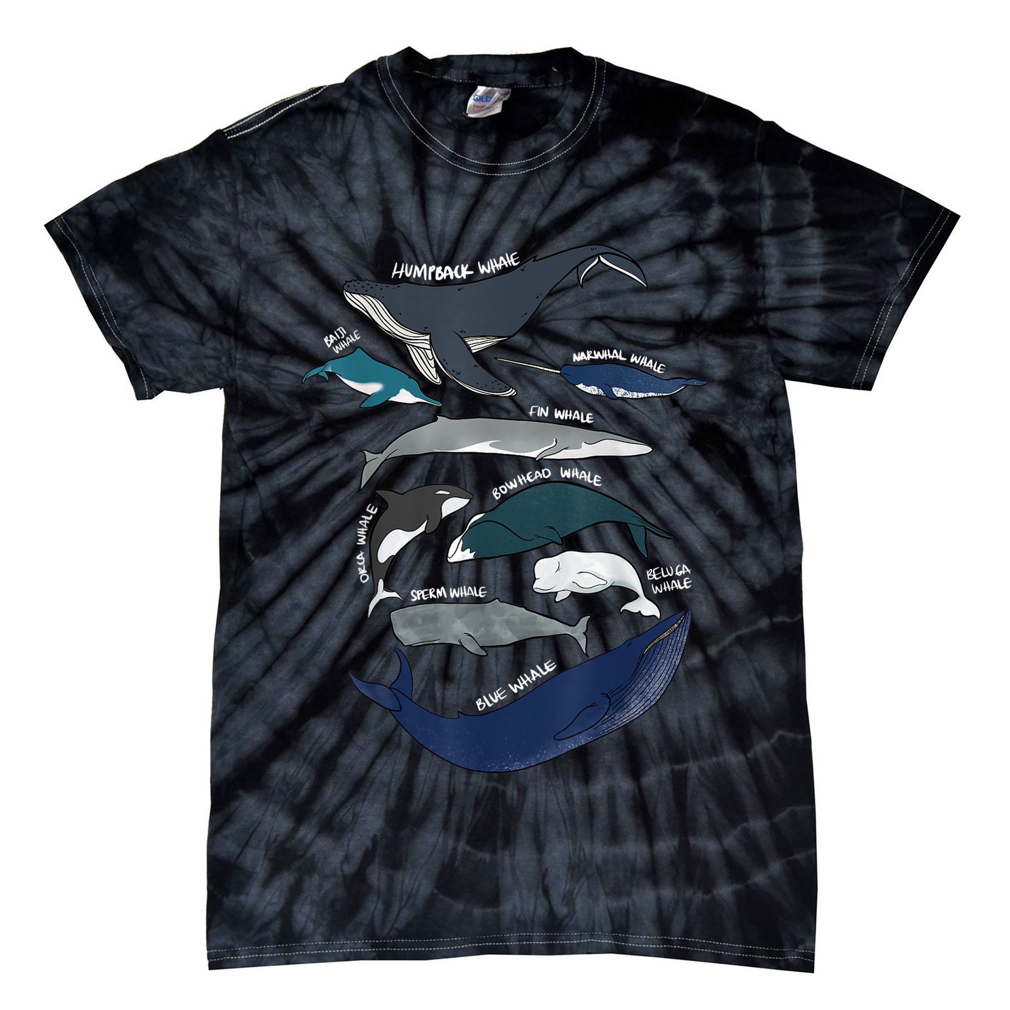 9 Types Of Whales Shirt Whale Breeds Species Whale Tie-Dye T-Shirt