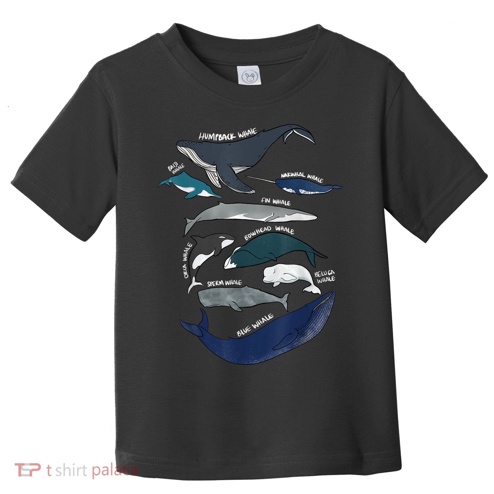 9 Types Of Whales Shirt Whale Breeds Species Whale Toddler T-Shirt