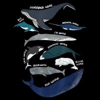 9 Types Of Whales Shirt Whale Breeds Species Whale Visor