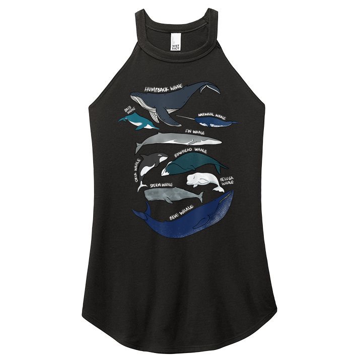 9 Types Of Whales Shirt Whale Breeds Species Whale Women's Perfect Tri Rocker Tank