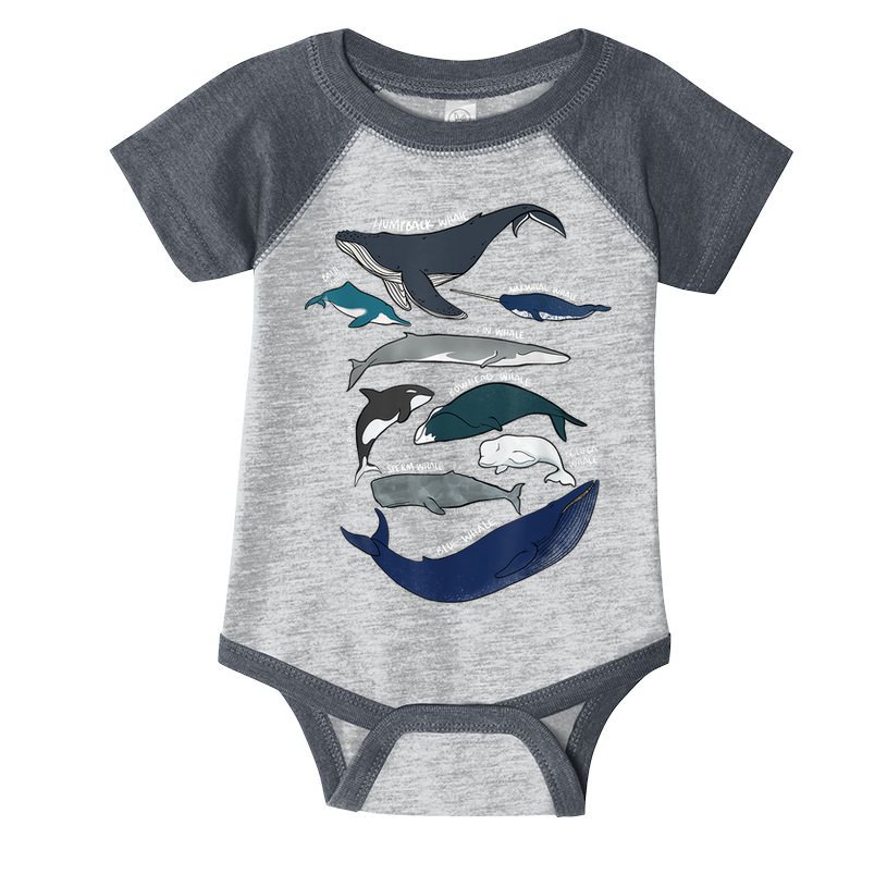 9 Types Of Whales Shirt Whale Breeds Species Whale Infant Baby Jersey Bodysuit