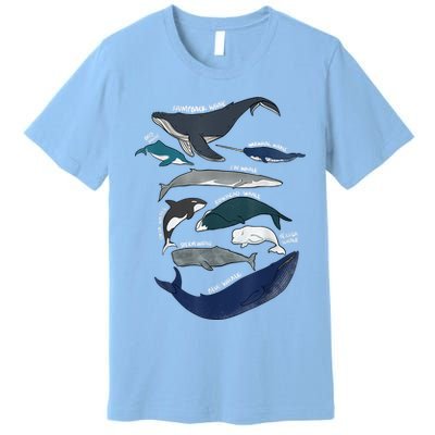 9 Types Of Whales Shirt Whale Breeds Species Whale Premium T-Shirt