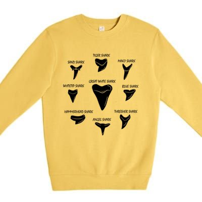 9 Types Of Sharks Teeth Species Biology Life Tooth Collector Gift Premium Crewneck Sweatshirt