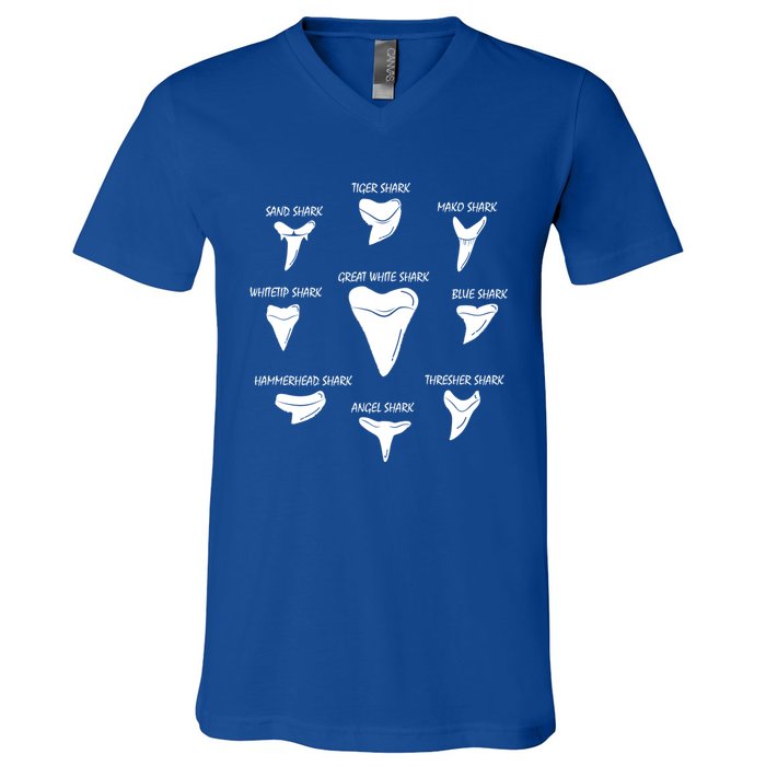 9 Types Of Sharks Teeth Species Biology Life Tooth Collector Gift V-Neck T-Shirt