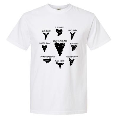 9 Types Of Sharks Teeth Species Biology Life Tooth Collector Gift Garment-Dyed Heavyweight T-Shirt