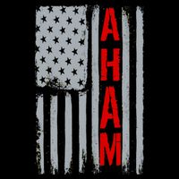 A. Ham Hamilton USA Vintage Flag T-Shirt