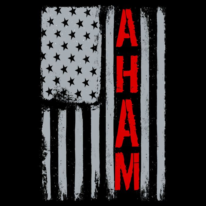 A. Ham Hamilton USA Vintage Flag T-Shirt