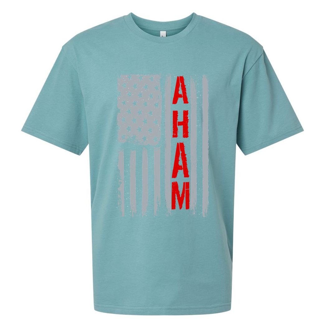 A. Ham Hamilton USA Vintage Flag Sueded Cloud Jersey T-Shirt