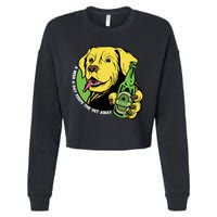 A Beer A Day Keeps The Vet Away Dog Cropped Pullover Crew