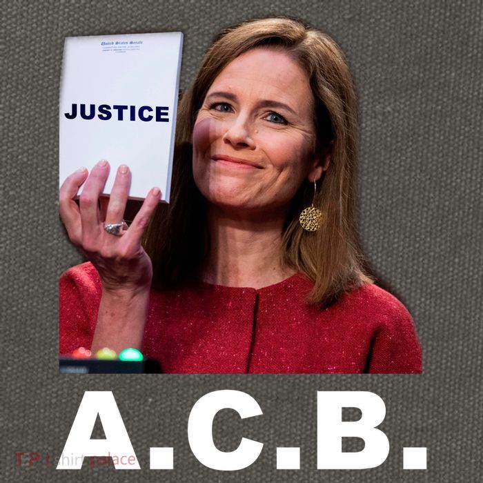 A.C.B. Justice Notepad Amy Barrett Cotton Canvas Backpack