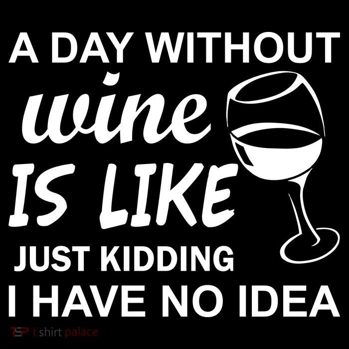 A Day Without Wine Is like Just Kidding I Have No idea Stripe Pom Pom Beanie