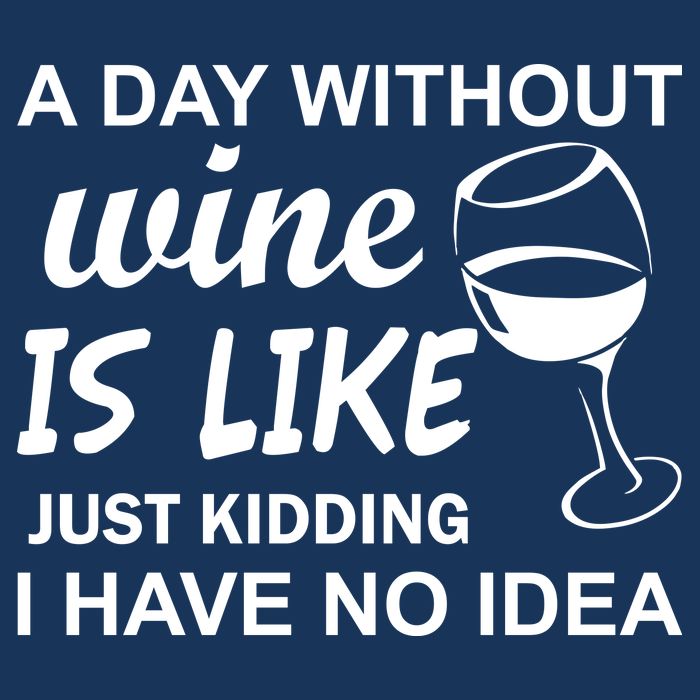 A Day Without Wine Is like Just Kidding I Have No idea 7 Panel Mesh Trucker Snapback Hat