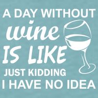 A Day Without Wine Is like Just Kidding I Have No idea Sueded Cloud Jersey T-Shirt