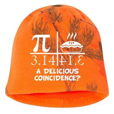 A Delicious Coincidence? Pi Day 3.14 Math Geek Kati - Camo Knit Beanie