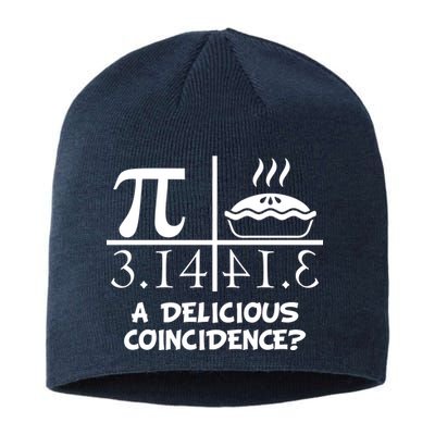 A Delicious Coincidence? Pi Day 3.14 Math Geek Sustainable Beanie