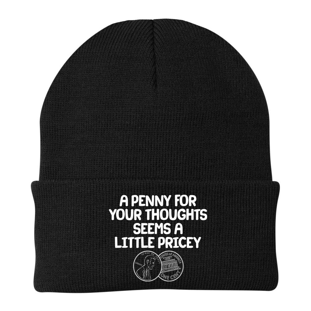 A Penny For Your Thoughts Seems A Little Pricey Beanie