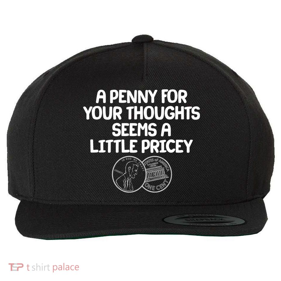 A Penny For Your Thoughts Seems A Little Pricey Wool Snapback Cap