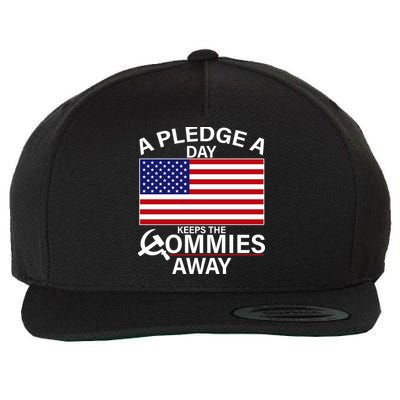 A Pledge A Day Keeps The Commies Away Wool Snapback Cap