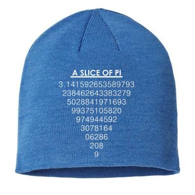 A Slice of Pi Pie Funny Pi Day Math Geek Logo Sustainable Beanie