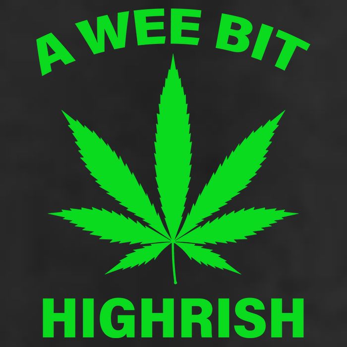 A Wee Bit Highrish Premium Pullover Hoodie