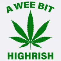 A Wee Bit Highrish Garment-Dyed Sweatshirt