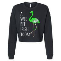 A Wee Bit Irish Today Flamingo Cropped Pullover Crew
