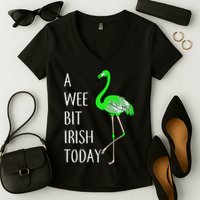 A Wee Bit Irish Today Flamingo Women's V-Neck T-Shirt